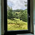 아파트 Wiejska Sowa Siedlisko Michalkowa