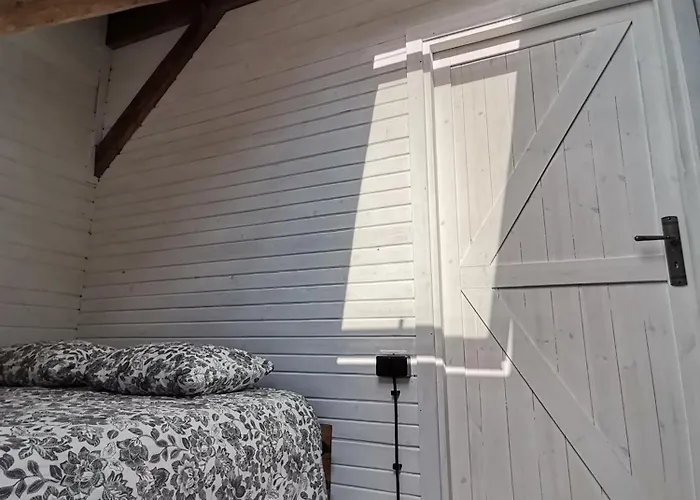 Wiejska Sowa Siedlisko *